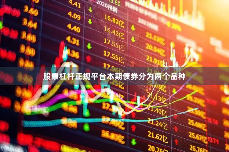 股票杠杆正规平台本期债券分为两个品种