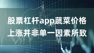 股票杠杆app蔬菜价格上涨并非单一因素所致