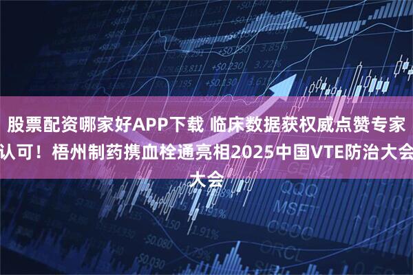 股票配资哪家好APP下载 临床数据获权威点赞专家认可！梧州制药携血栓通亮相2025中国VTE防治大会