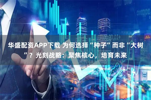 华盛配资APP下载 为何选择“种子”而非“大树”？光刻战略：聚焦核心，培育未来