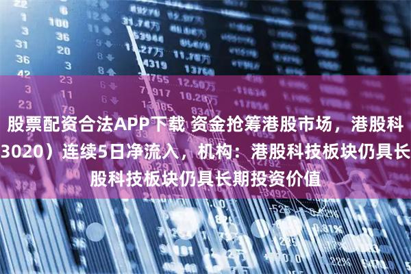 股票配资合法APP下载 资金抢筹港股市场，港股科技ETF（513020）连续5日净流入，机构：港股科技板块仍具长期投资价值